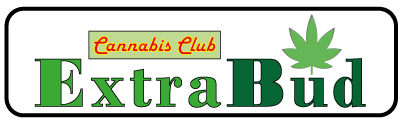 Cannabis Club Arnsberg e.V.